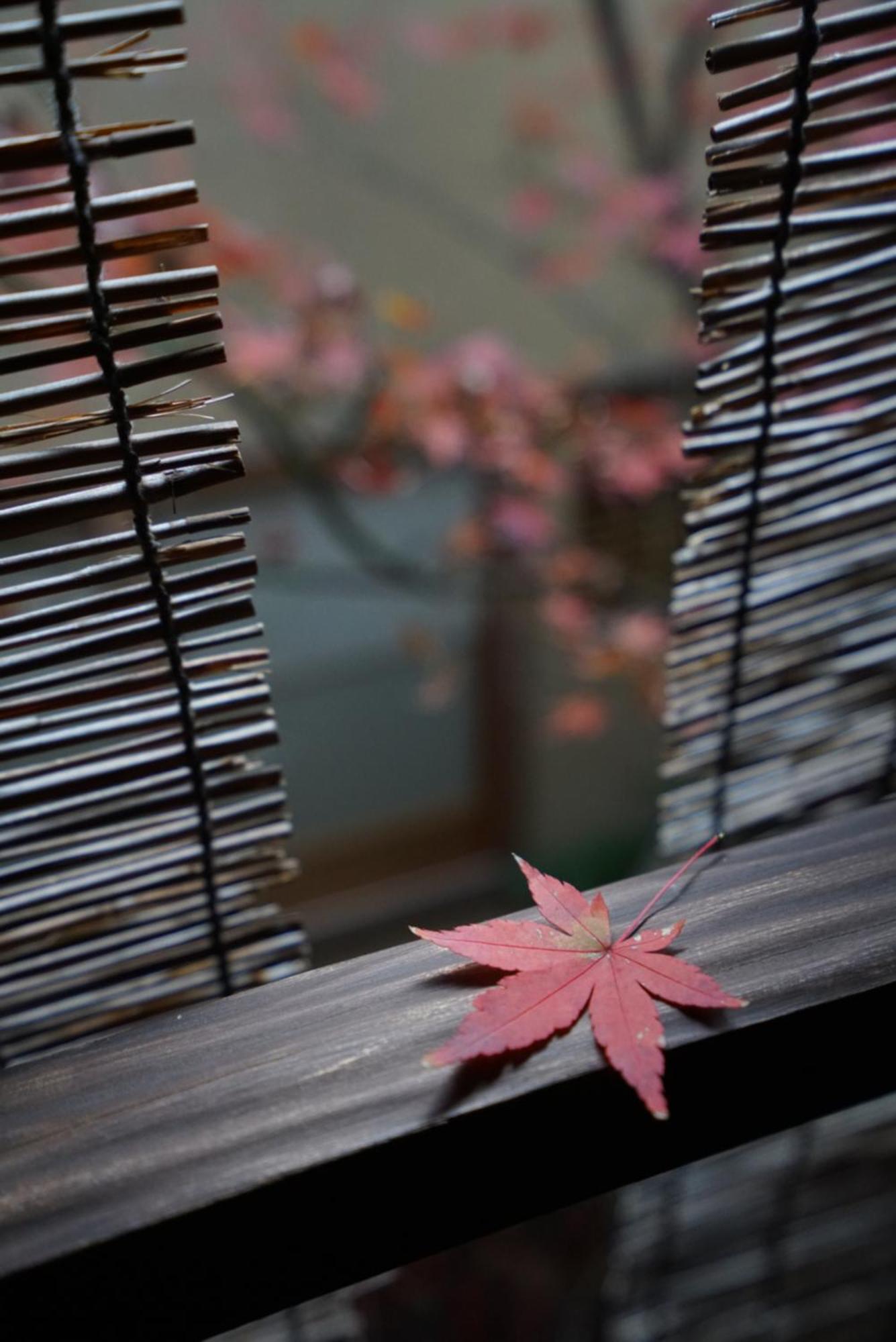 Ryokan Tori Киото Экстерьер фото