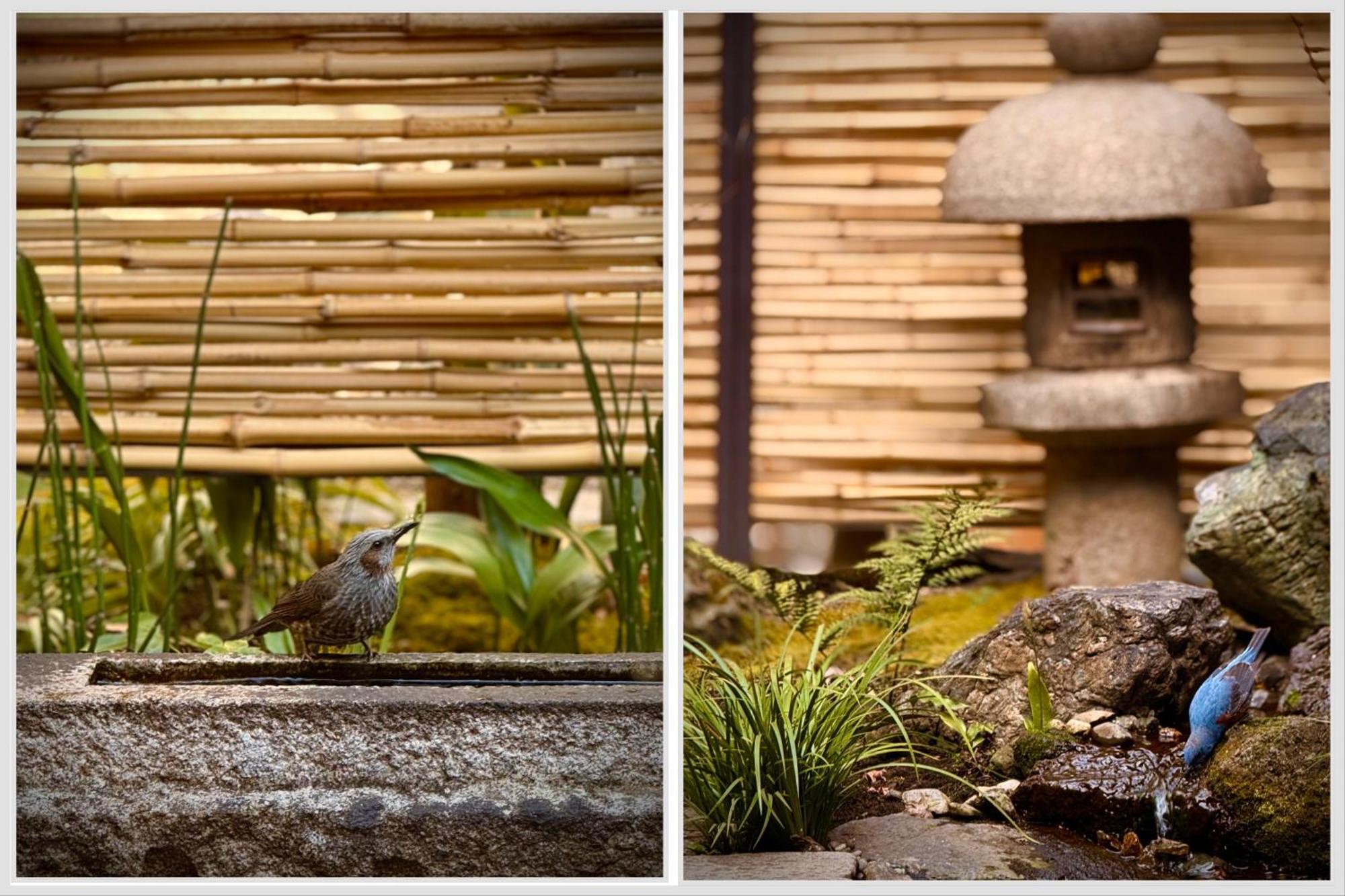 Ryokan Tori Киото Номер фото